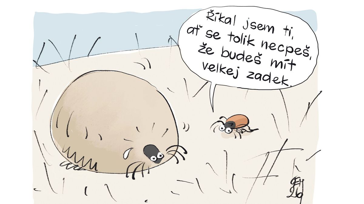 KEMEL: Necpi se tolik